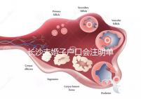 長沙未婚子戶口會注明單親家庭解密嗎？如果你不明白，來看看