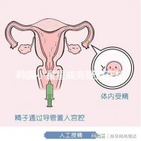 韓國(guó)小童星威廉疑似在校被霸凌？父親Sam辟謠：凹高冷人設(shè)