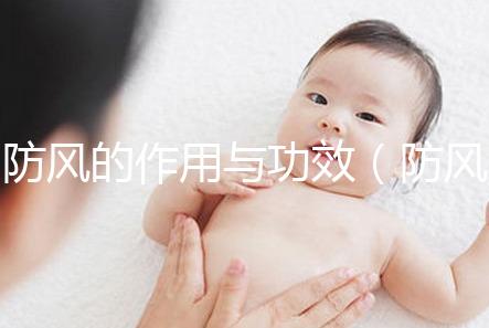 防風(fēng)的作用與功效（防風(fēng)的作用與功效與作用）