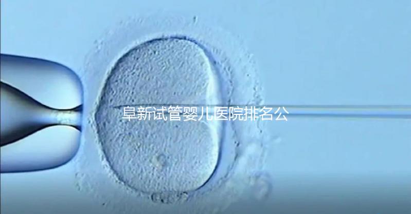 阜新試管嬰兒醫(yī)院排名公開，附2024年助孕費明細