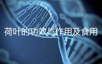 荷葉的功效與作用及食用方法(荷葉蒂的功效與作用及食用方法)
