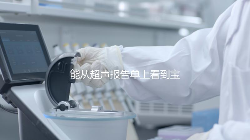 能從超聲報(bào)告單上看到寶寶的性別嗎？