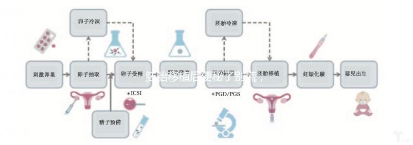 胚胎移植后便秘了別慌，這5種方法你應該試試
