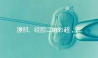 腹部、經(jīng)腔二維彩超,產(chǎn)檢部位不同照樣能篩選疾病