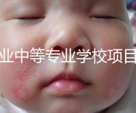 職業(yè)中等專業(yè)學(xué)校項目(中等職業(yè)學(xué)校專業(yè)建設(shè)規(guī)劃實施方案)