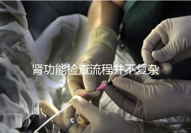 腎功能檢查流程并不復雜,掌握這幾個步驟方可一步到位