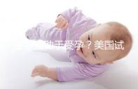 菠蘿有助于受孕？美國(guó)試管嬰兒移植后的5個(gè)冷知識(shí)都看看