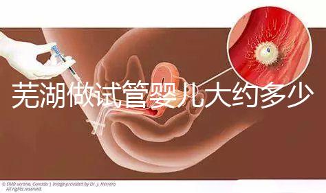 蕪湖做試管嬰兒大約多少錢？一次成功率高嗎？