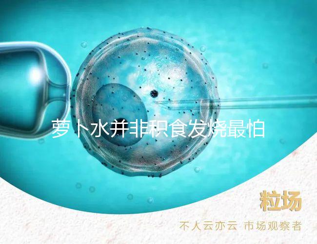 蘿卜水并非積食發燒最怕的1種水，天天煮這些喝胃口倍棒