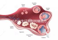 補(bǔ)辦出生證明別找錯(cuò)地方,備齊資料到這些部門辦理不白跑!