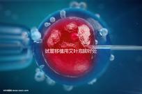 試管移植用艾葉泡腳好處多，幫助胚胎著床僅為其作用之一