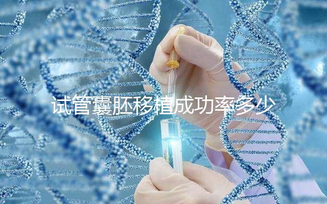 試管囊胚移植成功率多少?醫(yī)生:主要由胚胎質(zhì)量等級決定