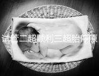 試管二超順利三超胎停原因分析,多半和保胎藥停早了有關