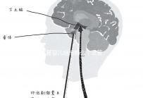 試管嬰兒給報銷么(試管嬰兒給報銷嗎)