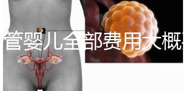 試管嬰兒全部費用大概要多少錢？