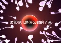 試管嬰兒是怎么做的？醫院流程及費用詳解