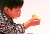 試管嬰兒胚胎質(zhì)量(試管嬰兒胚胎質(zhì)量等級(jí))