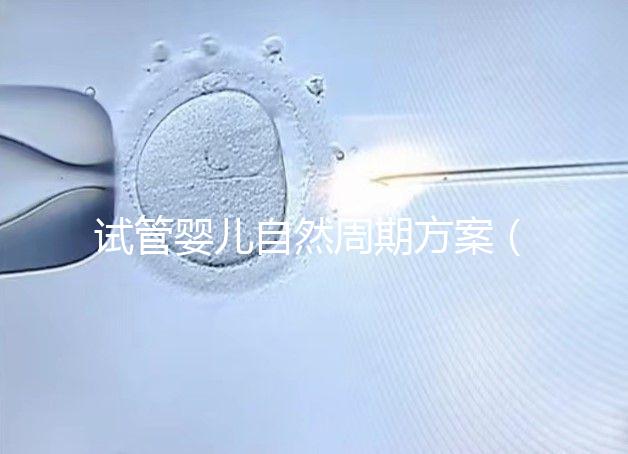 試管嬰兒自然周期方案（試管嬰兒自然周期方案B超監(jiān)測(cè)第15天了,卵泡還沒(méi)破咋辦）