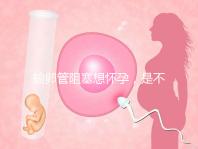 輸卵管阻塞想懷孕，是不是只能做試管嬰兒？