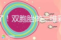 賺了！雙胞胎做三維彩超檢查報(bào)告不僅準(zhǔn)確，還拒絕雙收費(fèi)