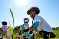 誰說香港凍卵沒有年齡限制，48歲能不能做？