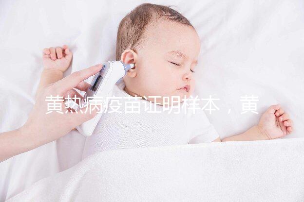 黃熱病疫苗證明樣本,黃皮書有效期10年附詳細辦理流程