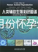 40歲幾月份懷孕生男孩？你想要的答案在生男生女清宮圖