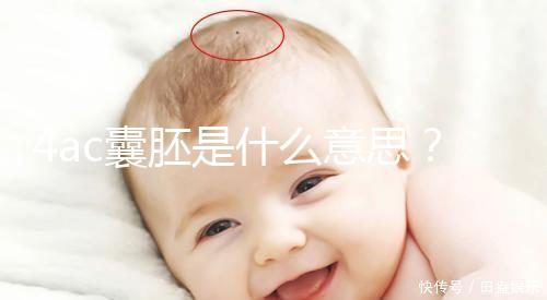 4ac囊胚是什么意思？移植成功率