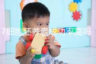 7細胞胚養囊成功率高嗎？聽聽做過試管的姐妹怎么說