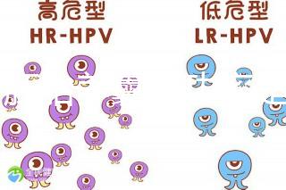 6個胚胎養囊成功率是多大答案在這，能配成3個機會就大