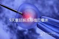 5天囊胚解凍移植后著床or游離看這,驗孕時間可別太早