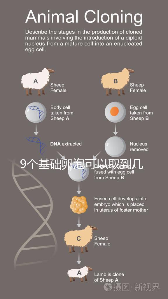 9個(gè)基礎(chǔ)卵泡可以取到幾個(gè)卵戳,促排后會(huì)不會(huì)增加很重要