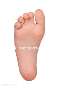 AFC預測生殖技術結果,不如實際了解竇卵泡計數應用