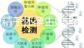 C級精子懷孕生娃之路不好走，試管或是唯一的選擇