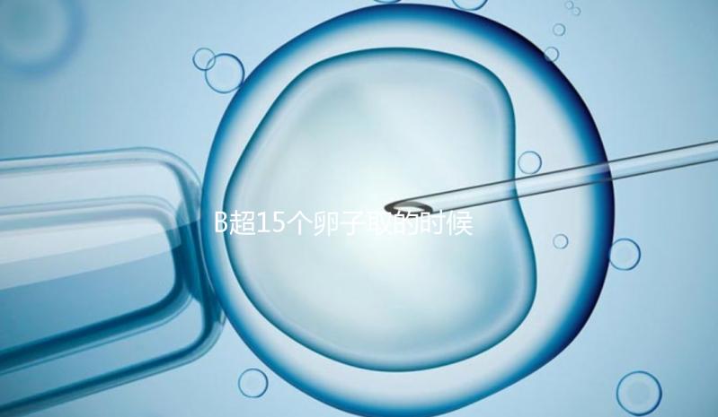 B超15個卵子取的時候只取了8個有原因的卵子，看起來不正常很清楚