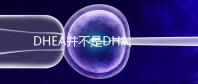 DHEA并不是DHA,女性備孕不能隨意選擇