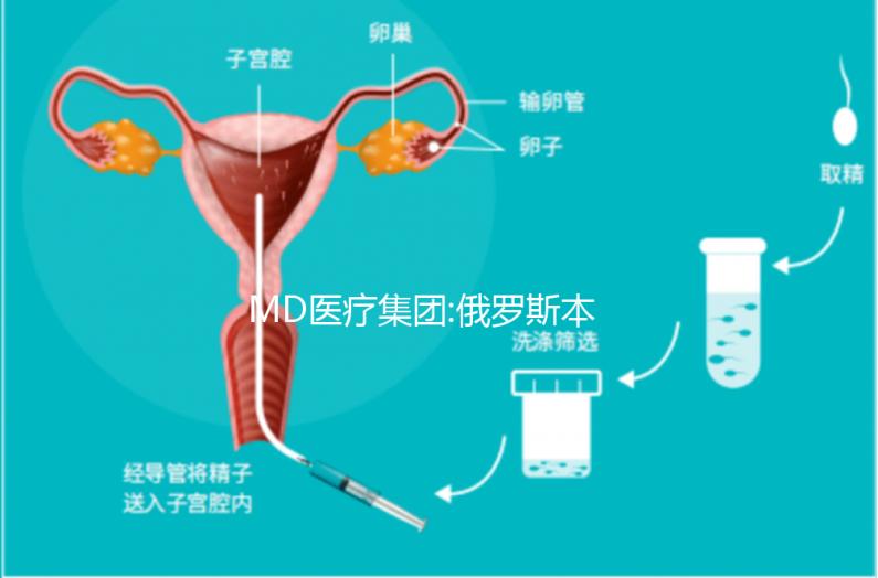MD醫(yī)療集團(tuán):俄羅斯本土已上市的一家母嬰醫(yī)療機構(gòu)