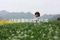 37歲多囊做試管嬰兒成功幾率多高？國內哪里做比較好