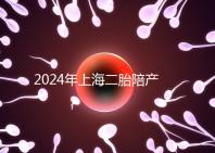 2024年上海二胎陪產假新規定，浦東10天或15天