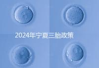 2024年寧夏三胎政策最新規(guī)定來襲,附西夏區(qū)實(shí)施時間