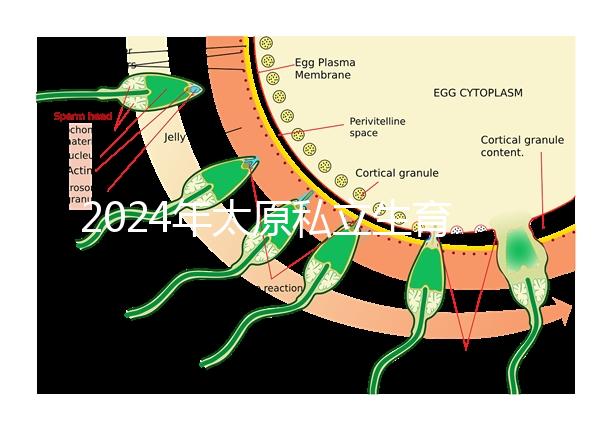 2024年太原私立生育醫(yī)院排名公開(kāi),上榜機(jī)構(gòu)分娩條件好