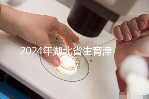 2024年湖北省生育津貼政策附武漢、黃石超詳細(xì)流程