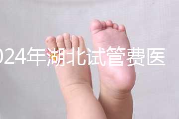 2024年湖北試管費醫療保險可以報銷?專家:時間還沒到?