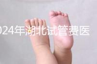 2024年湖北試管費(fèi)醫(yī)療保險(xiǎn)可以報(bào)銷(xiāo)?專家:時(shí)間還沒(méi)到?