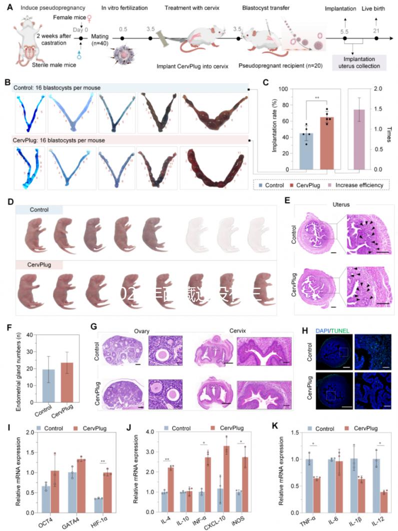 2024年西藏還沒有三代試管嬰兒醫院，那該去哪里做三代呢？