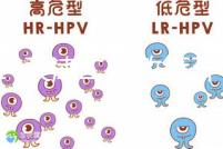 2024天津二胎政策開放,分析最新政策信息