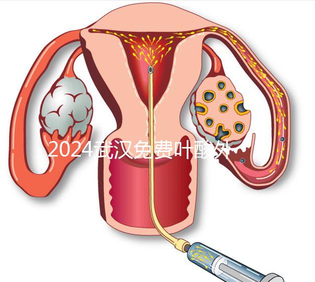 2024武漢免費(fèi)葉酸外國人可以領(lǐng)取,符合條件就來江漢區(qū)
