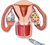 2024杭州邵逸夫醫(yī)院專家門診表,醫(yī)生上班時(shí)間一網(wǎng)打盡!