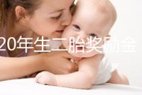 2020年生二胎獎勵金額揭秘,符合條件的媽媽可以領(lǐng)取了!