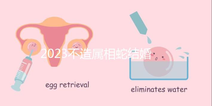 2023不造屬相蛇結婚跟什么相配？切記和屬豬易犯沖